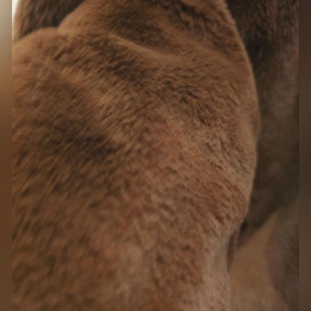 Forever 21 Chocolate Faux Fur Coat - Picture 4 of 4